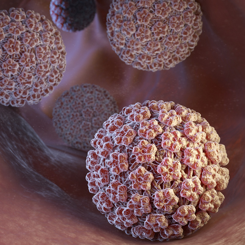 hpv